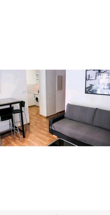 Bel Appartement Proche Du Canal Du Midi Toulouse Luaran gambar