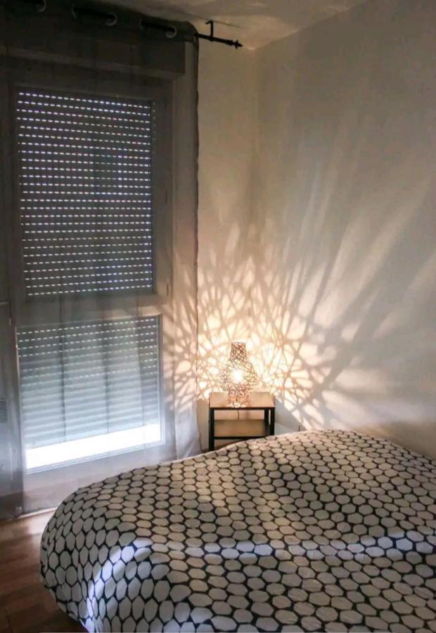 Bel Appartement Proche Du Canal Du Midi Toulouse Luaran gambar